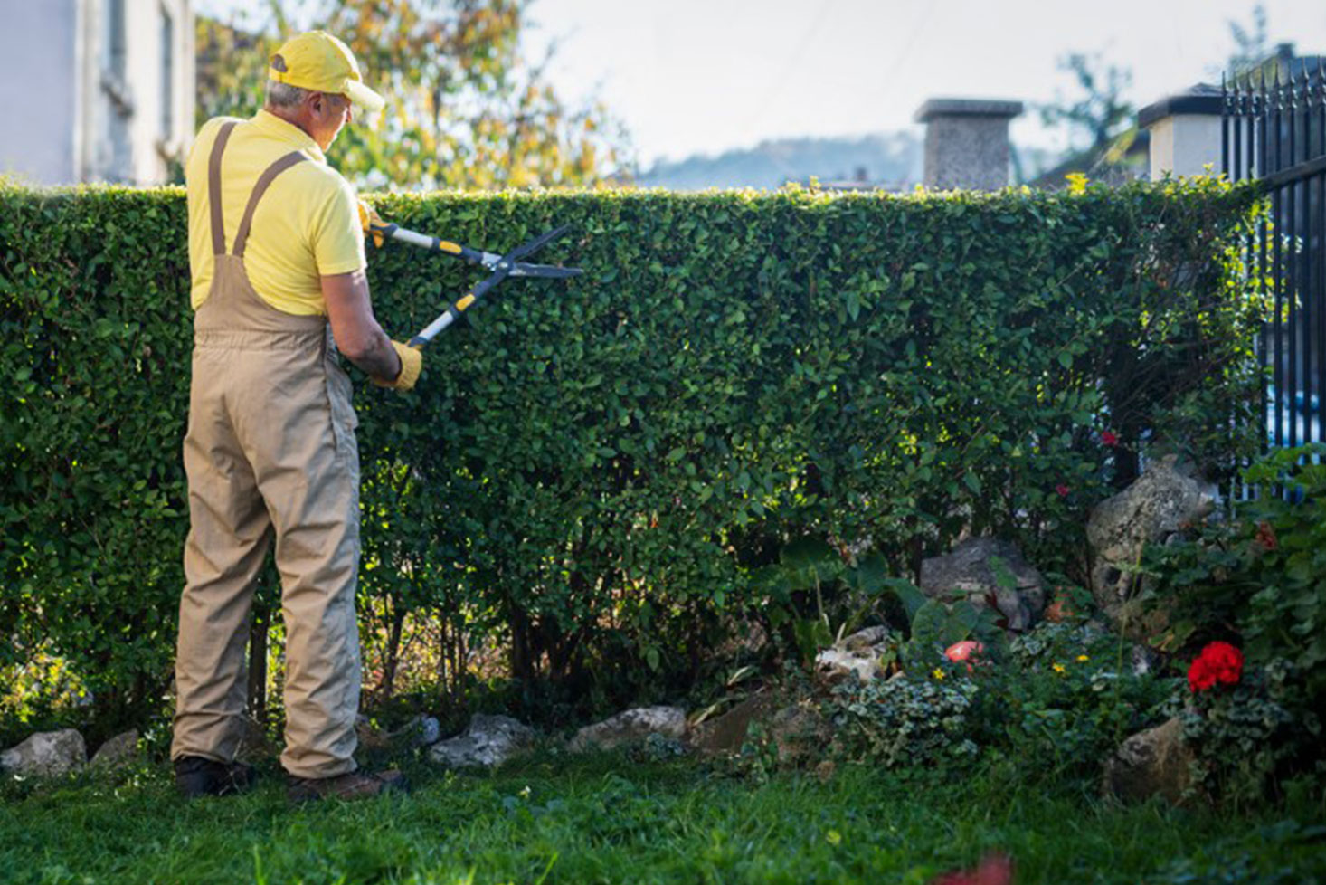 Multimodal Transportation